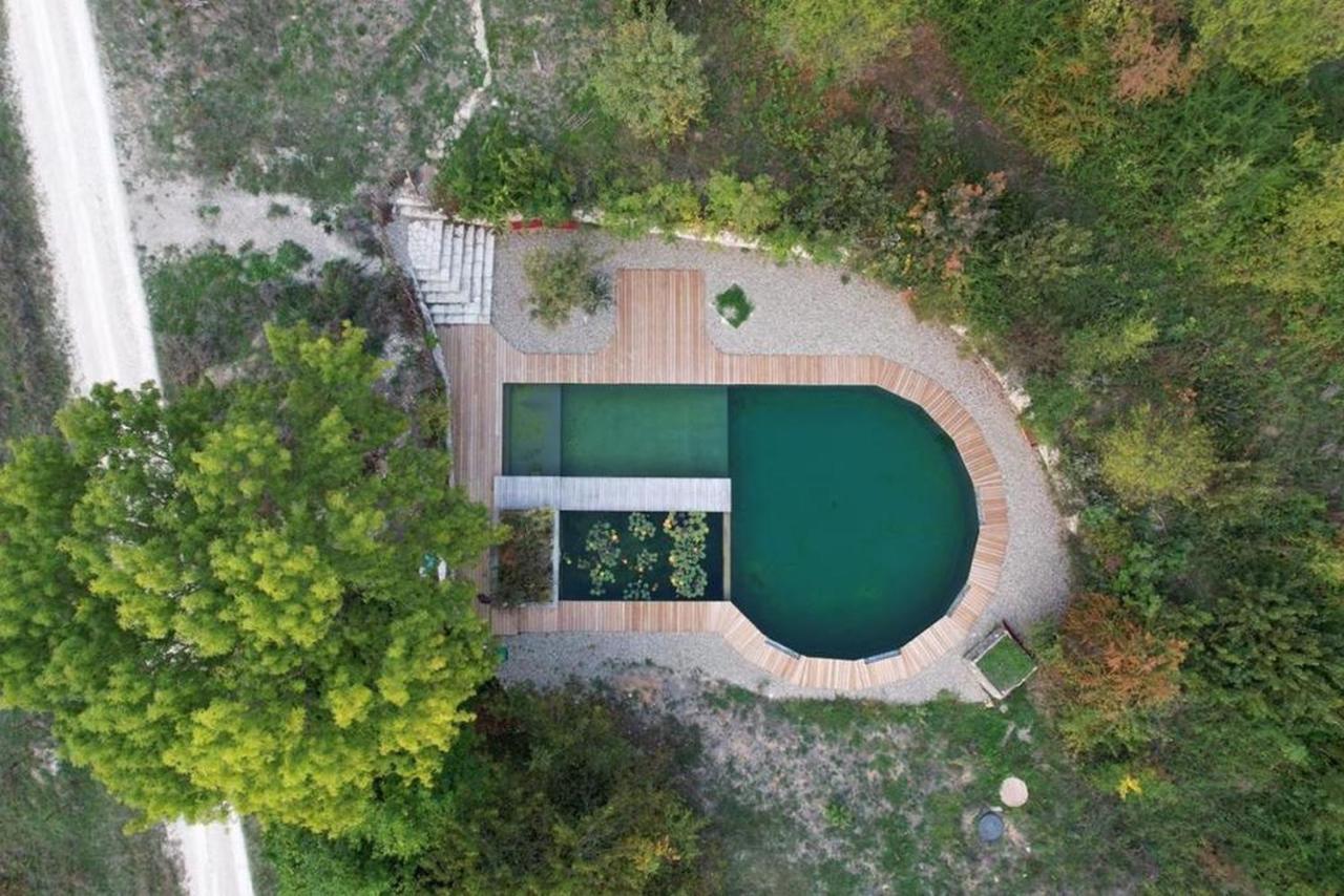 Maison Terre Les Cabanes De Fallot - Sauna Bain-Froid Piscine Naturelle L'isle-Bouzon 외부 사진